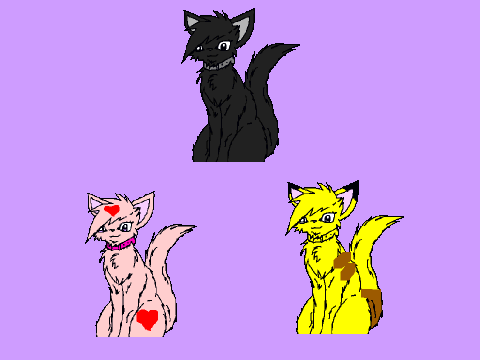 Song cats
