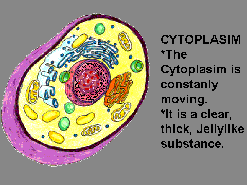 Cell Project