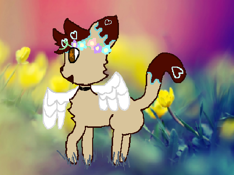|B-Day Gift for Mia~|