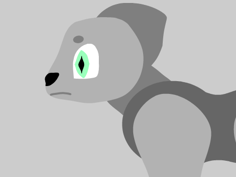 animation test