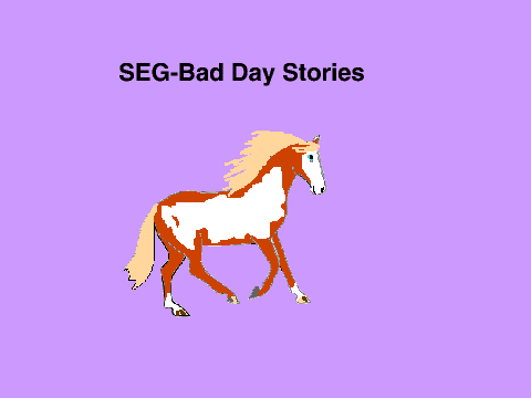 SEG-Bad day stories