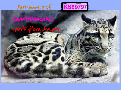 Sign Here If You Love Cloud Leopards  remix remix remix