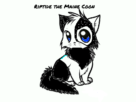 Cat contest remix
