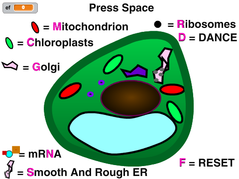 Cell Model