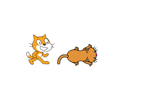 Cat Treasure Hunt