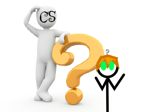 what do CS do