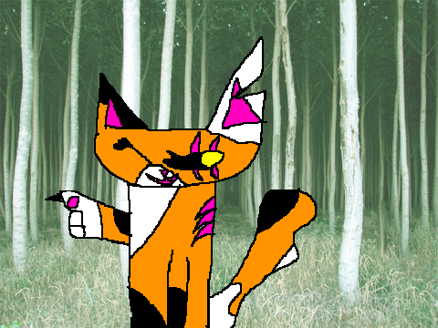 Brambleclaw owns the dark forest