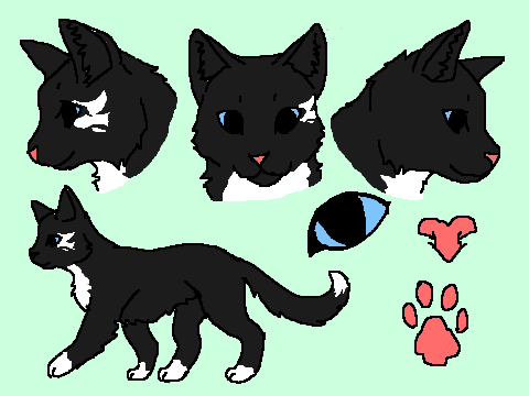 Shadow Cast by Waning Moon~REFRENCE SHEET~~