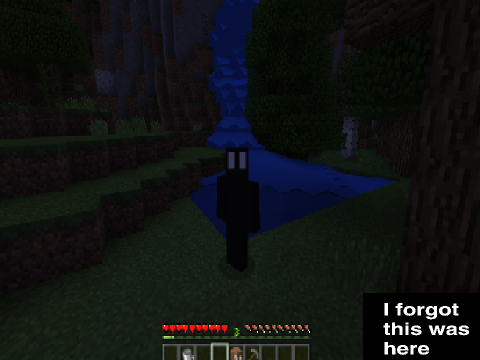 Minecraft photo