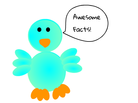 Owlmations season 2 episode 1: About Owly