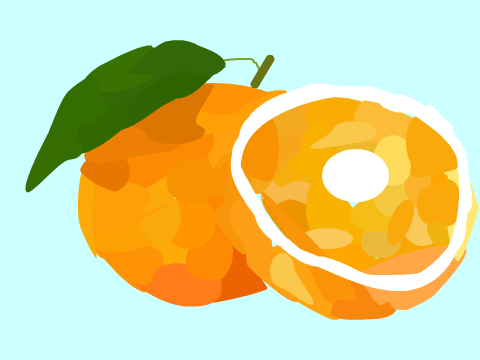 Orange blockshade for LynBear