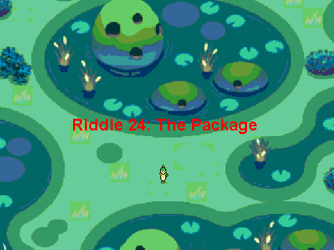 Riddle 24: Package