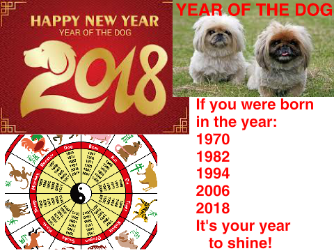 HAPPY CHINESE NEW YEAR!