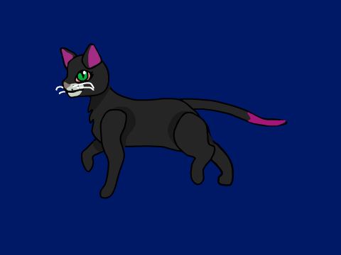 Cat Walk Cycle