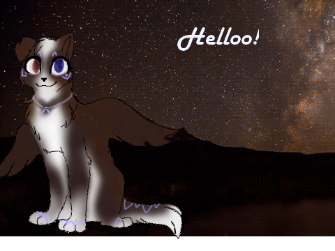                               [ ✧ hello ✧ ]