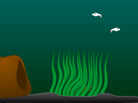 Platypus Simulator