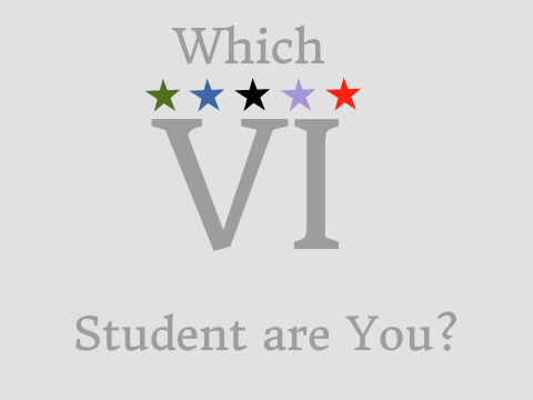 Which VI Student are You?