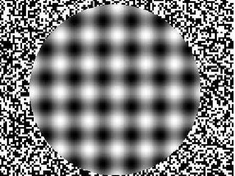 Optical Illusion 