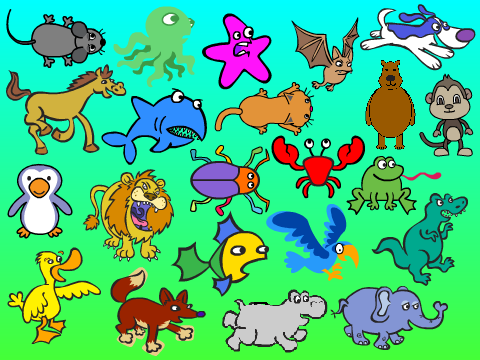 Animal Sounds