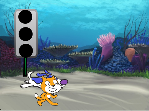 DOG V CAT:      RACE