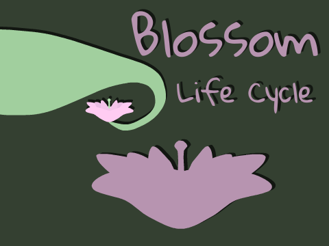 Blossom Life Cycle
