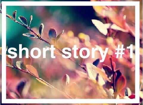< The Wizard's Heart > A short story