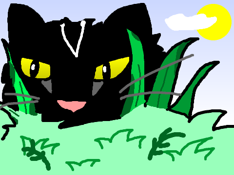Ravengaze an OC