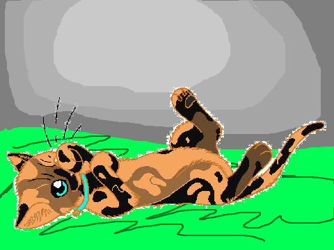My Kittypet