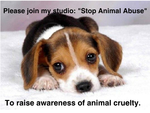 Stop Animal Abuse. remix