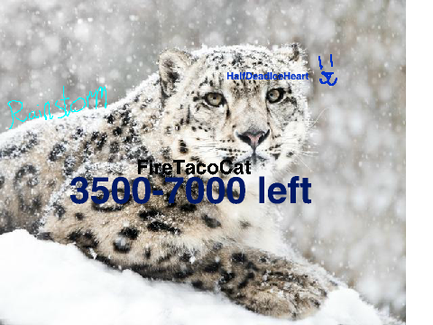 Sign To Save Big Cats! remix remix