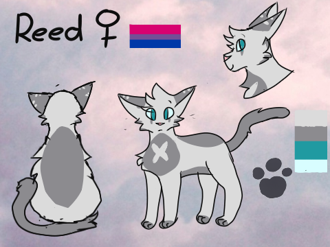 New and improved ref and design