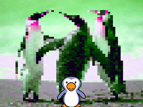 Penguin Dance