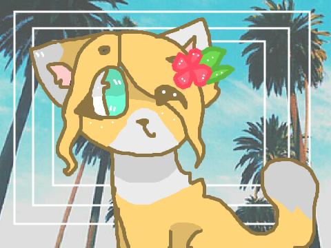 ❁seasonals dtae❁