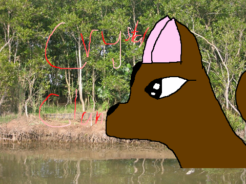 Divefang
