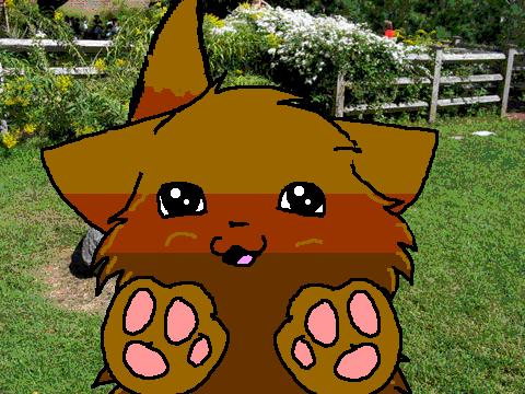 my entry for the cat coloring contest!!!!!!!!!