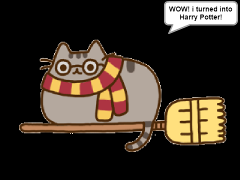 Weird Cat Dude Turns into Harry Potter! remix