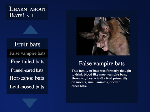 Learn about Bats! v.1