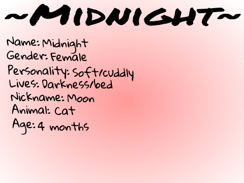 Midnight (remix of Panda)