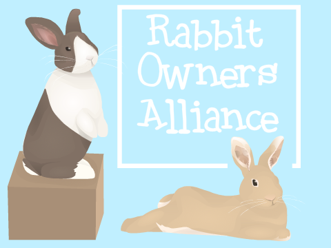 Thumbnail for Rabbit Owners Alliance (Studio)