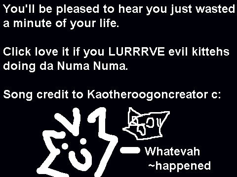 The Numa Cat.  Scourge Be His Name