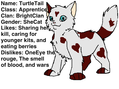 Kitten/Apprentice  TURTLEPAW