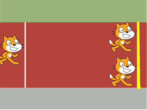 cat race!
