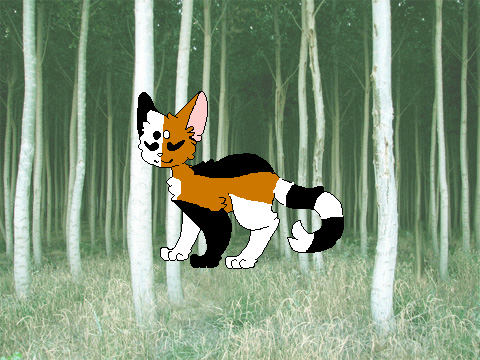= FernClan Bio Template = remix