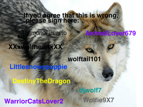 Sign To Stop Wolf Hunting: remix remix remix!!!! remix remix remix remix remix remix remix