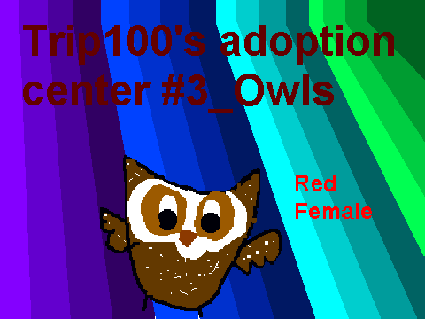 Tripp100's adoption center#3_Owls