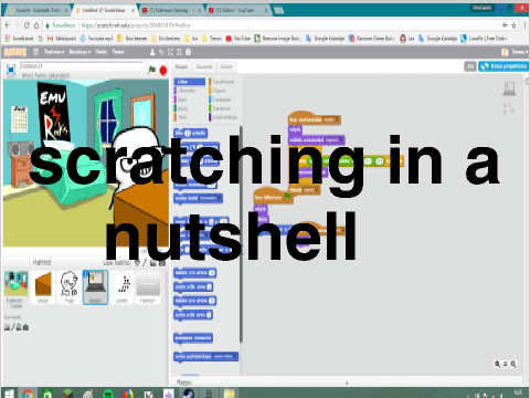 Scratching in a nutshell (animation)