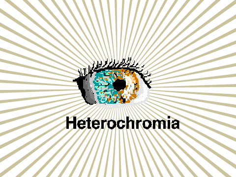 Heterochromia Eye Drawing
