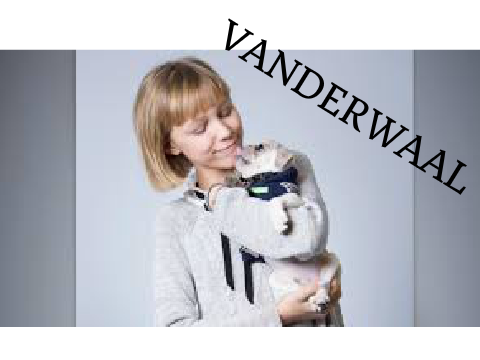 ~~~~
