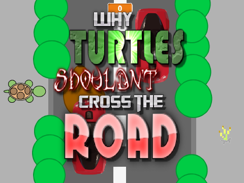 Why Turtles Shouldn't Cross The Road