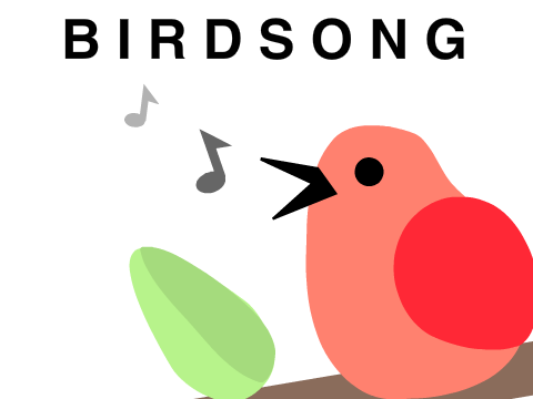 BIRDSONG - make music with birds! remix